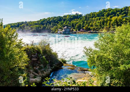 Wörth Castle and promenade seen from RheinfallFelsen. Rhine Falls is a waterfall located in Switzerland and the most powerful waterfall in Europe.The Stock Photo