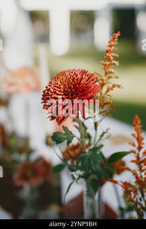 Elegant backyard wedding table decor featuring vibrant fall floral arrangements, brass candle holders, and a rich terracotta velvet table runner. Stock Photo