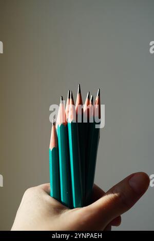 Green set of graphite pencils in hand. Stock Photo