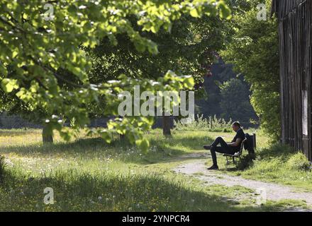 Young man sitting relaxed on a bench under trees in sunny weather and reading, Burghausen, Upper Bavaria, Bavaria, Germany, Europe Stock Photo