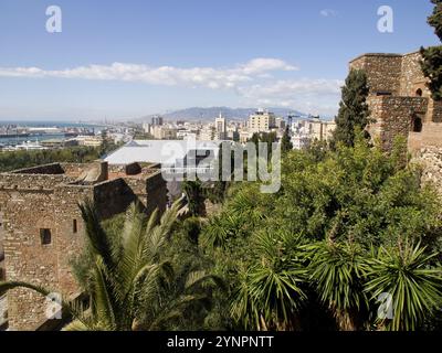 View of coastal town with palm trees and historic buildings under blue sky, malaga, spain Stock Photo