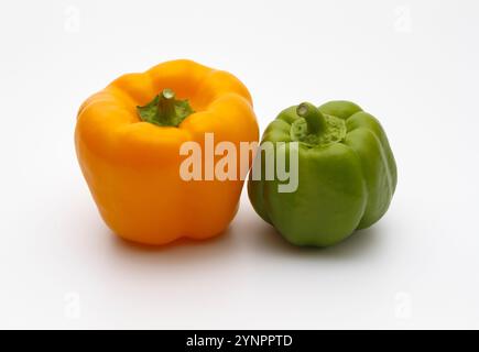 The bell pepper is the fruit of plants in the Grossum Group of the species Capsicum annuum. Fresh orange and green edible, bell peppers. Stock Photo