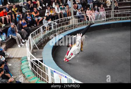 A performer shows a trick during a horse show in Cingjing, Ren'ai of ...