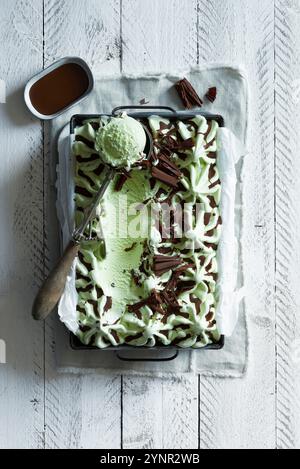 Homemade peppermint ice cream with chocolate sauce and chocolate chips in a baking pan Stock Photo