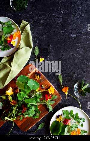 Cooking with herbs and edible flowers concept, with negative space. Stock Photo
