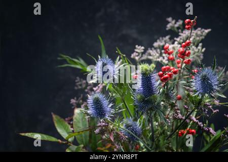 Seasonal winter flower bouquet with blue thistles red berry branch and green filler twigs against a dark background, copy space, selected focus, narro Stock Photo