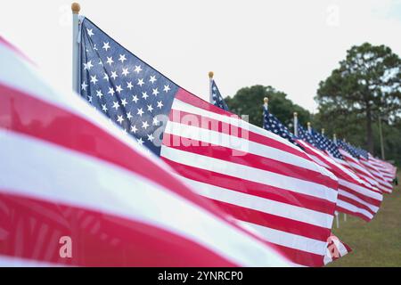 American flags blow in the wind during a Salute a Veteran event at the Air Force Armament Museum near Eglin Air Force Base, Florida, Nov. 9, 2024. During this event, members dedicated 200 flags in honor of all American veterans for their patriotism and willingness to serve and sacrifice for their country. (U.S. Air Force photo by Senior Airman Briana Beavers) Stock Photo