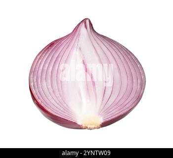 Top view of big red or purple onion bulb in half is isolated on white ...