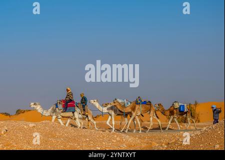 Douz, Kebili Governorate, Tunisia - November 08, 2024: Bedouin caravan in the Sahara. Stock Photo