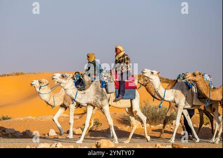 Douz, Kebili Governorate, Tunisia - November 08, 2024: Bedouin caravan in the Sahara. Stock Photo