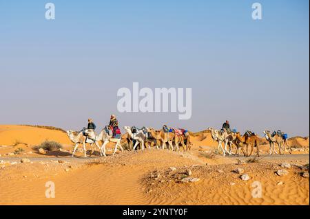 Douz, Kebili Governorate, Tunisia - November 08, 2024: Bedouin caravan in the Sahara. Stock Photo