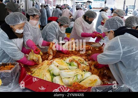 Seoul, South Korea. 27th Nov, 2024. People make Kimchi for a sharing event at the Jogyesa temple in Seoul, South Korea, Nov. 27, 2024. Credit: Jun Hyosang/Xinhua/Alamy Live News Stock Photo