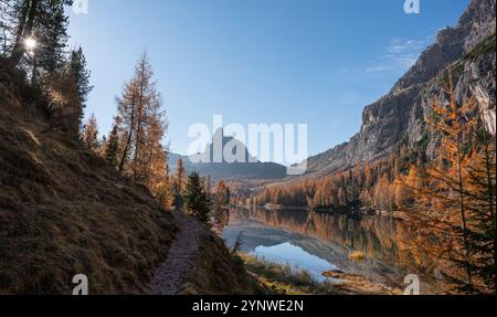 Lakeside trail in the Dolomite alps at Lago Federa. Golden larch trees line the shore in the autumn Stock Photo