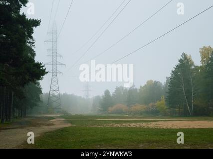 View of high power lines on an autumn morning in a foggy forest Stock Photo