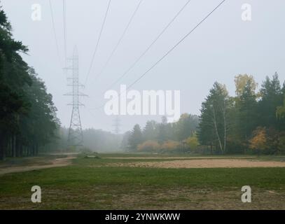 View of high power lines on an autumn morning in a foggy forest Stock Photo