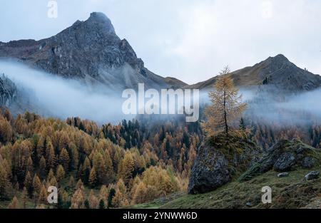 Low layer of fog in an autumn valley in the Dolomites near val contrin Stock Photo