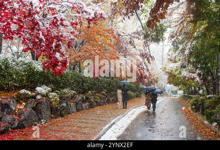 Seoul, South Korea. 27th Nov, 2024. Pedestrians walk through the center of Seoul, where snow is falling. More than 16 centimeters of snow blanketed the South Korea's capital Seoul on November 27, marking the biggest snowfall in November since modern weather observations began in 1907, the Korea Meteorological Administration (KMA) said. The new record coincided with the first snow of the season in Seoul. Credit: SOPA Images Limited/Alamy Live News Stock Photo