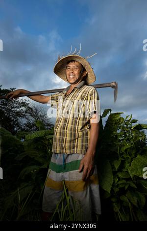 A tobacco farmer carrying a hoe over his shoulder, standing amidst lush green plants under a dramatic sky in Bali, Indonesia. Stock Photo