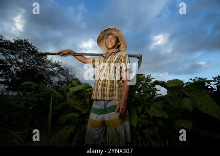 A tobacco farmer carrying a hoe over his shoulder, standing amidst lush green plants under a dramatic sky in Bali, Indonesia. Stock Photo