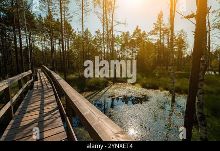 Wooden bridge on the Viru Raba swamp lake in Estonia. Stock Photo