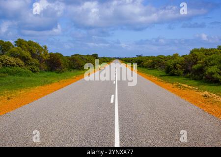 Empty country road leading straight to the horizon through the bushland in Western Australia Stock Photo