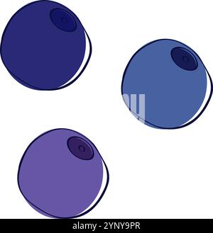 Blueberry graphic line vector illustration isolated on white transparent background Stock Vector