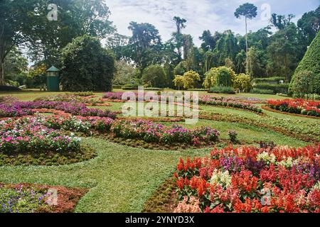 Flower beds at Royal Botanical Garden Peradeniya in Kandy, Sri Lanka Stock Photo