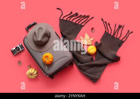 Beautiful autumn composition with suitcase, hat, scarf and pumpkins on red background Stock Photo