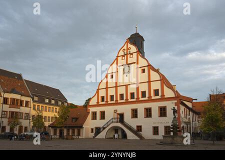 Historic town hall with clock tower on a cobbled square in the evening sun, town hall, market square, Grimma, Leipzig, Saxony, Germany, Europe Stock Photo