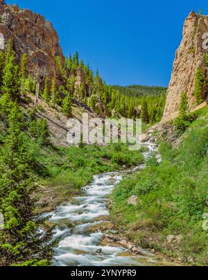 hell roaring creek flowing from the centennial mountains on the continental divide near lakeview, montana Stock Photo