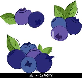 Vector illustration of fresh blueberry with leaves. Graphic line style set of berries Sweet fruit in blue color cartoon style isolated on white transp Stock Vector