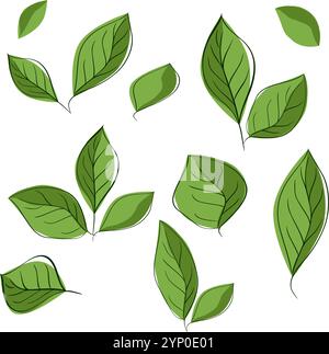 Set of graphic line leaves silhouettes. Vector Hand drawn floral design elements, icons, shapes. Wild and garden leaves outline illustrations isolated Stock Vector