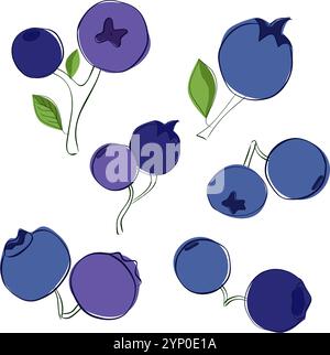 Graphic outline illustration set of two blueberries isolated on white transparent background. Vector Various blueberry bunches. Stock Vector