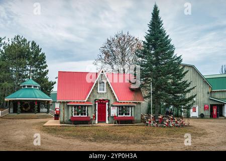 Drysdale's Christmas Tree Farm near Egbert, Ontario, Canada Stock Photo
