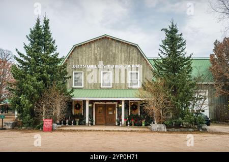 Drysdale's Christmas Tree Farm near Egbert, Ontario, Canada Stock Photo