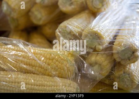 Bags of corn on the cob portioned Stock Photo