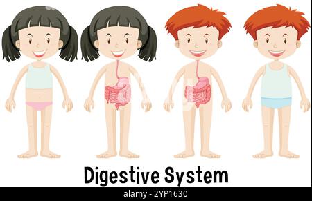 Diagram showing digestive system in children Stock Vector