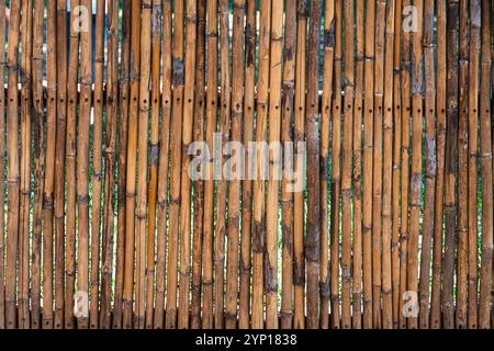 old brown tone bamboo plank fence texture for background Stock Photo