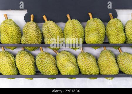 Durian fruit on display at the booth, on the table, local street food, indonesia asia. durian on the counter in the store. Stock Photo