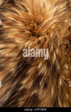 Burnt orange and black natural fur. Textured background. Slow fashion Stock Photo