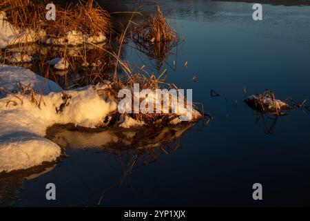 Dry reeds on the icy river shore at winter Stock Photo