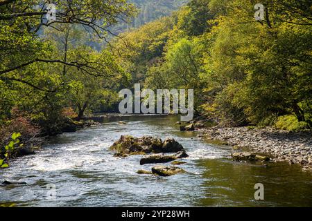 UK, Wales, Gwynedd, Snowdonia, Beddgelert, Aberglaslyn, Afon Glaslyn flowing over rocks through pass Stock Photo