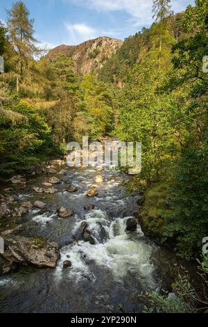 UK, Wales, Gwynedd, Snowdonia, Beddgelert, Nantmor, Afon Glaslyn flowing over rocks through Aberglaslyn pass Stock Photo