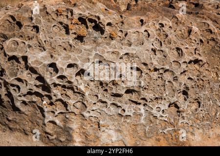 background image texture of  stone with holes like the lunar surface Stock Photo