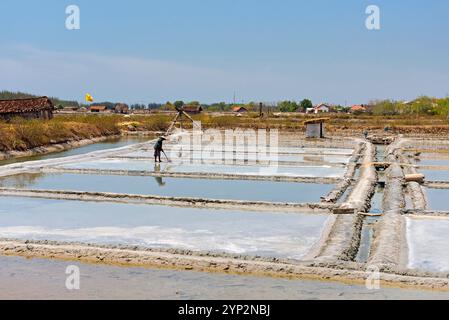 Salt ponds of Punjulharjo Village near Lasem, Java island, Indonesia, Southeast Asia, Asia Stock Photo