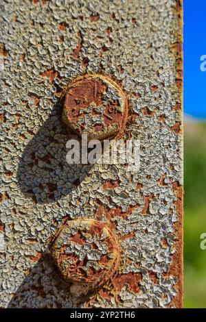 Two rusty bolts are on a rusted metal pole. The bolts are slightly bent and have a worn appearance. Concept of decay and abandonment, as the rusted me Stock Photo