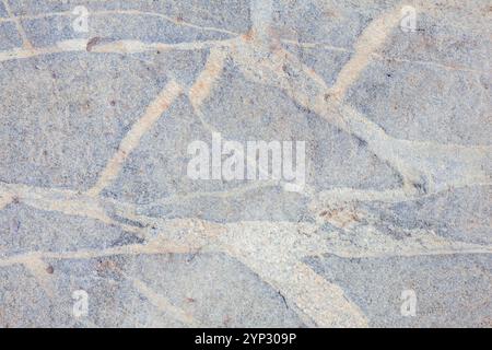 Beautiful natural pattern on a grey rock. Stock Photo