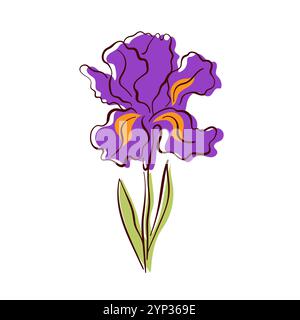Purple iris flower with intricate petals and green leaves in flat style. Colorful hand drawn floral design for nature project, home decor and spring Stock Vector