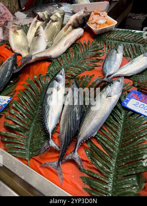 Spice Market, Sultanahmet, Istanbul, Turkiye, Turkey Stock Photo