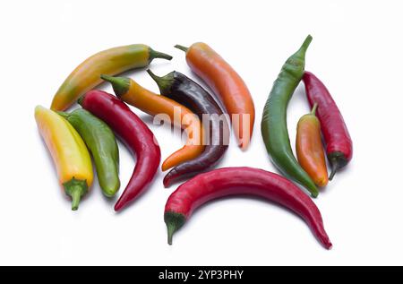 Peppers in red, green and mixed colors on a white background. Fresh and mixed edible chili peppers. Stock Photo